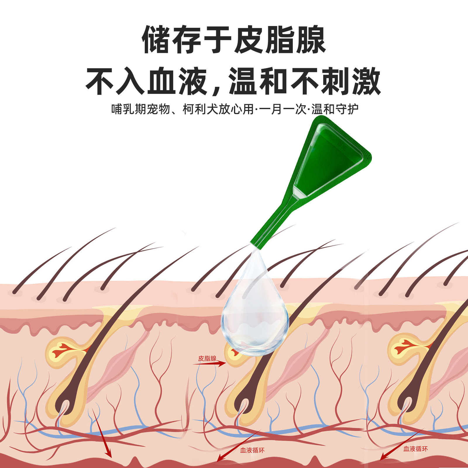 新宠之康狗狗体外驱虫药非泼罗尼去跳蚤蜱虫虱子药泰迪宠物用滴剂 - 图3