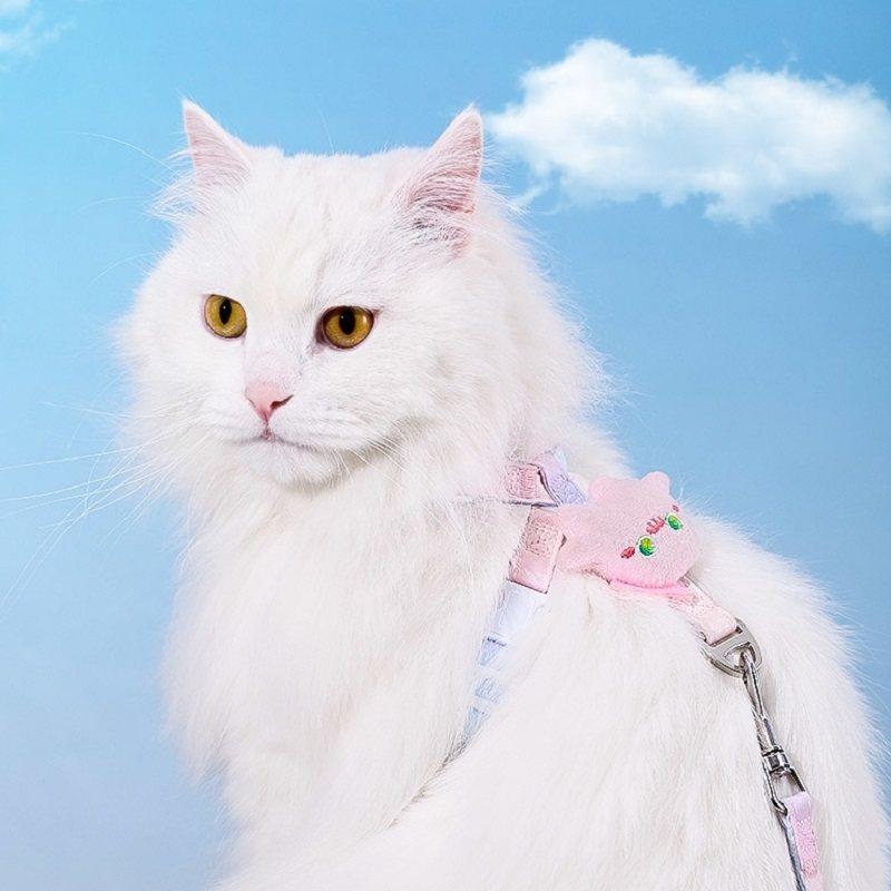 猫咪牵引绳防挣脱外出专用小猫溜猫神器猫猫遛猫工字型防挣脱猫绳,淘宝优惠券,粉丝福利购,淘宝优惠卷