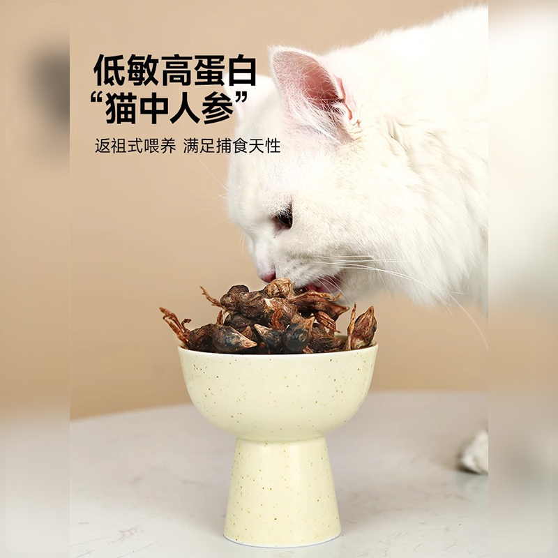 鹌鹑冻干猫零食营养增肥磨牙猫粮蛋黄发腮宠物补钙罐头猫宠物零食 - 图0