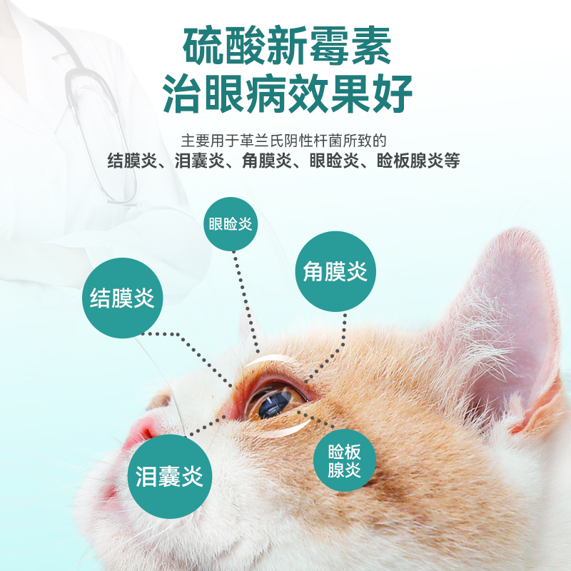 润康宠物滴眼液眼睛消炎角膜炎猫发炎金盾硫酸新霉素狗狗眼药水 - 图2