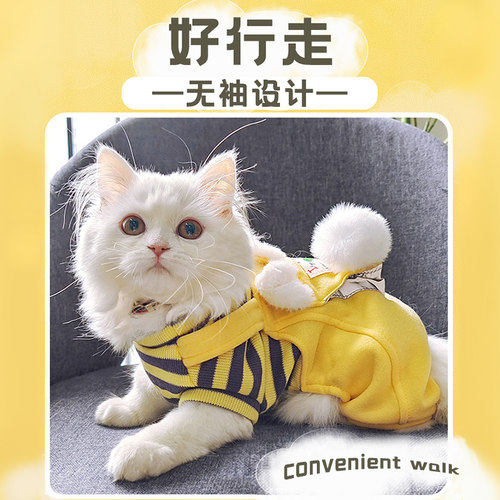 猫咪衣服冬装猫猫冬天保暖防掉毛幼猫布偶德文宠物小猫加厚保暖衣 - 图0