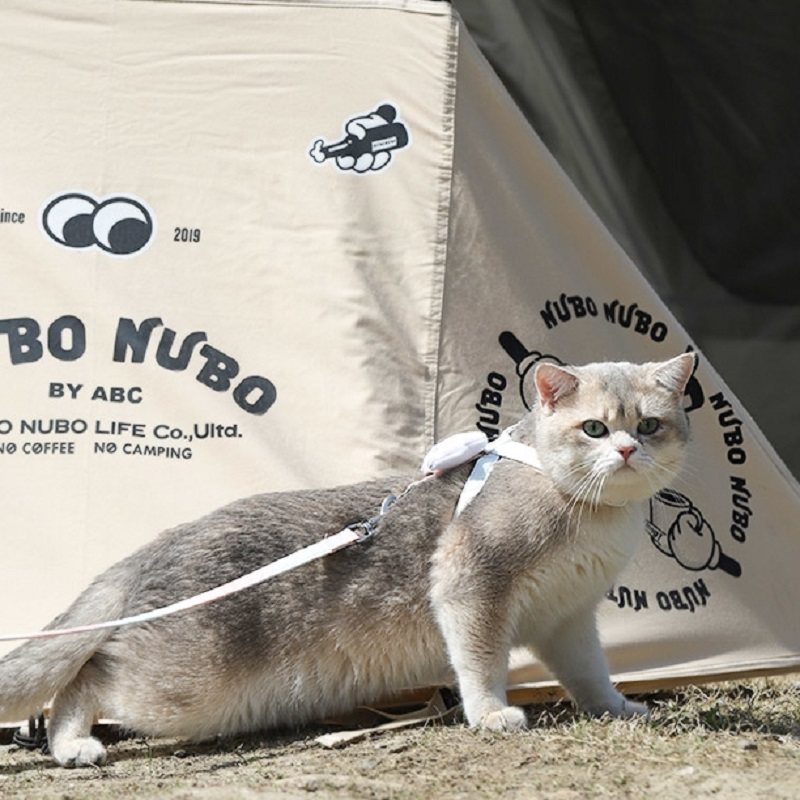 猫咪牵引绳防挣脱外出专用小猫溜猫神器猫猫遛猫工字型防挣脱猫绳,淘宝优惠券,粉丝福利购,淘宝优惠卷