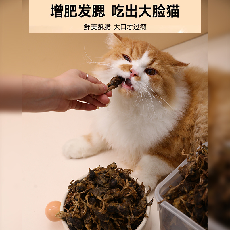 鹌鹑冻干猫零食营养增肥磨牙猫粮蛋黄发腮宠物补钙罐头猫宠物零食 - 图2