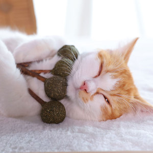 猫薄荷球猫薄荷棒棒糖