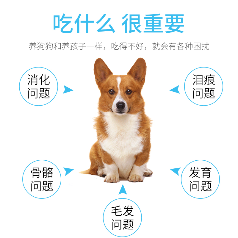 泰迪狗粮佳伦贵宾犬专用粮成犬去泪痕美毛小型犬通用型宠物狗粮优惠券