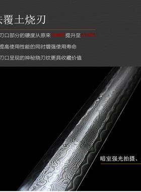 战锋龙王剑冷兵器一体刀剑
