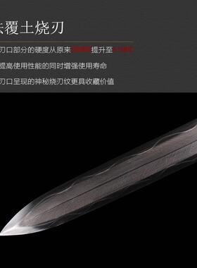 龙泉市宝剑刀剑鱼皮大马士革