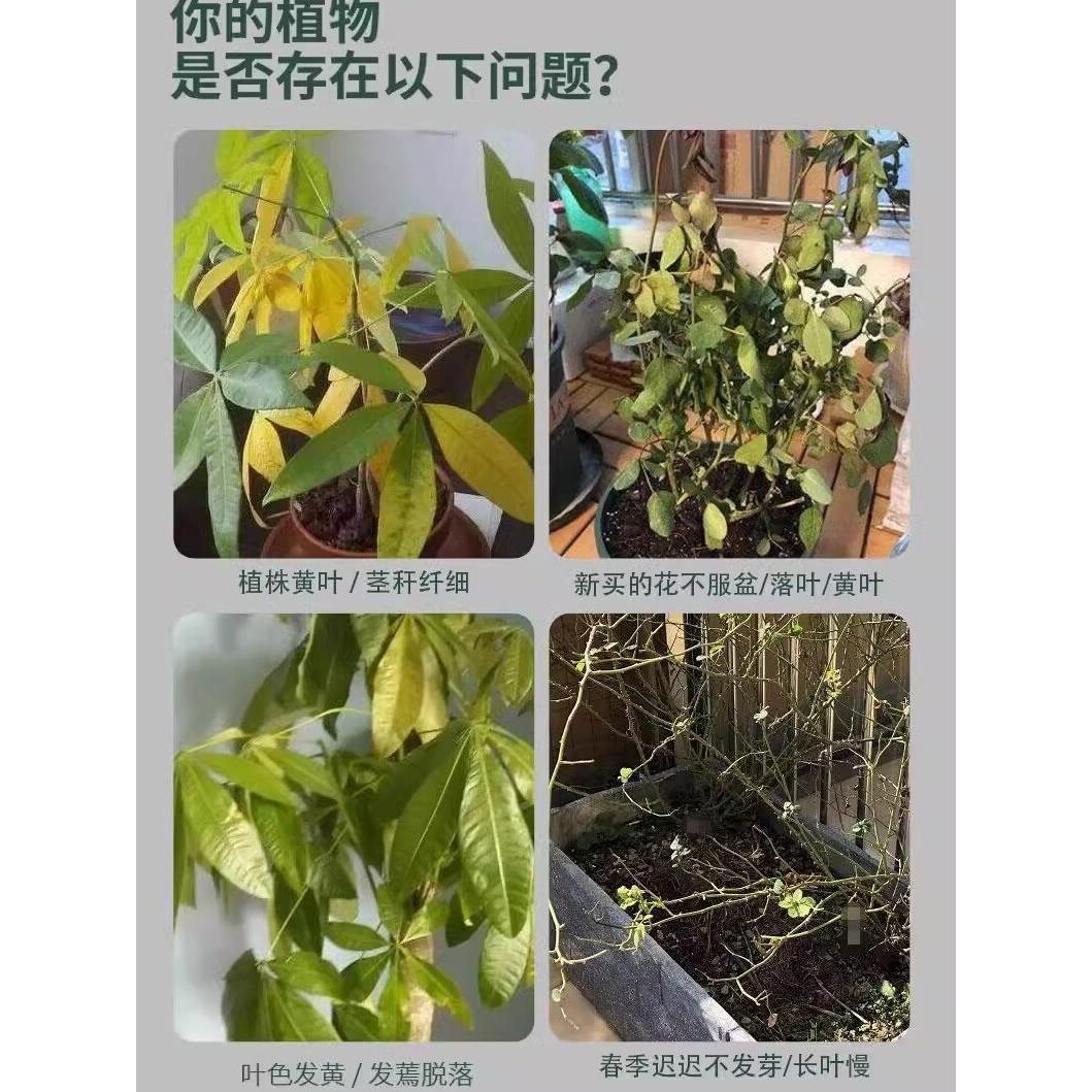 植物复活液激发植物枝干根系生长活力促生新根新芽绿植花卉都可以-图2