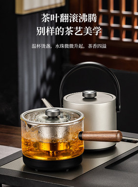 纯钛电热双上水泡茶壶