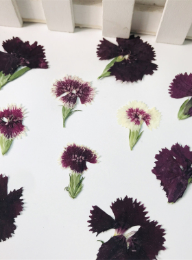 石竹diy手工亲子干花台灯压花