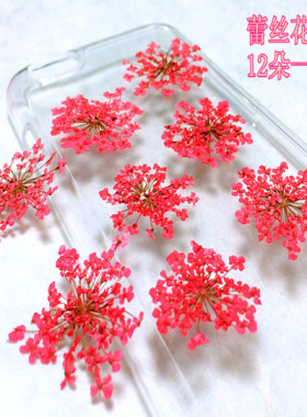滴胶手工干花美甲雪珠花
