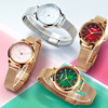 Citizen’s official new authentic internet celebrity ladies’ watch