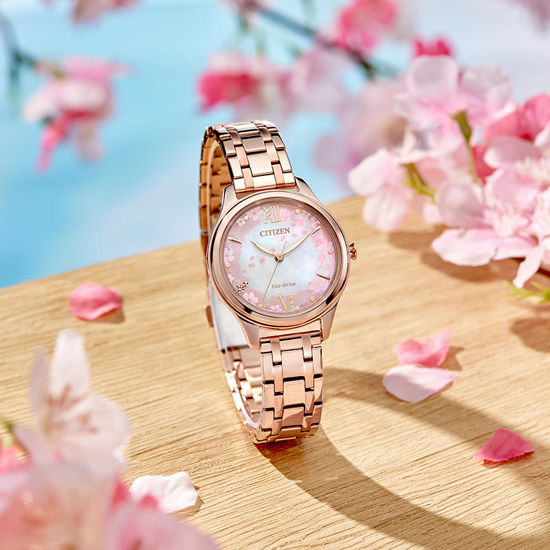 Citizen Eco-Drive Sakura Steel Belt Fashion Women’s Watch