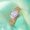 Citizen Official Flag Eco-Drive Women's Watch
