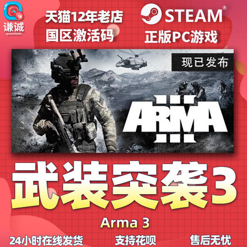 steam 武装突袭3 Arma 3 国区激活码cdkey 中文 PC 正版游戏 - 图3