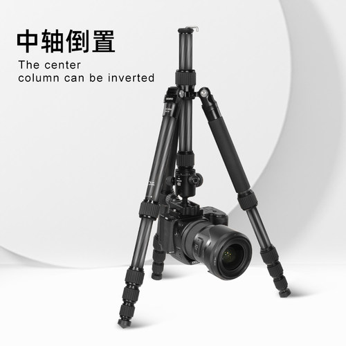 【碳纤维脚架承重25KG】BENRO百诺三脚架MC19数码微单反相机支架摄影摄像独脚架轻便球形云台拍视频直播手机 - 图2