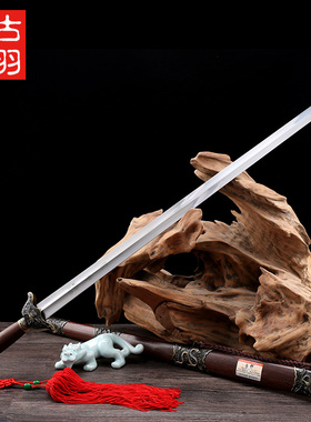 龙泉古羽宝剑腾龙太极武术晨练