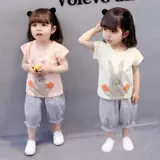 2022  疂 疂 疂 疂 濆  瑁呭 瑁呭 瑁呭               ?