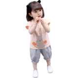 2022  疂 疂 疂 疂 濆  瑁呭 瑁呭 瑁呭               ?