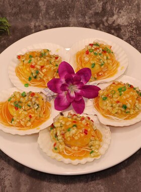 仿真扇贝粉丝模型样品食物摄影