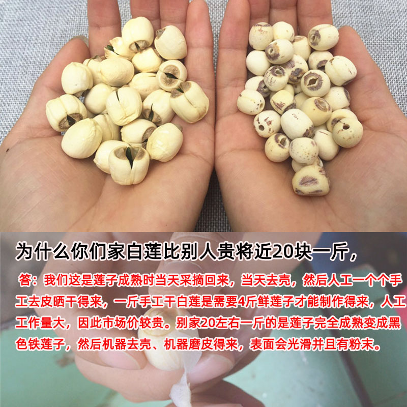 江西手工带芯莲子250/500g新鲜广昌农家特产有心白莲级自产无硫熏 - 图0