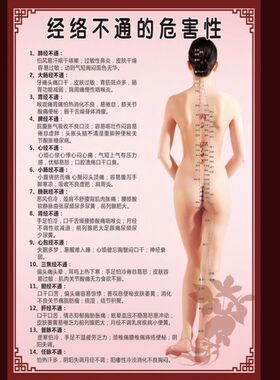 男女经络不通针灸穴位经络穴位全身经络图背部彩图版海报贴画