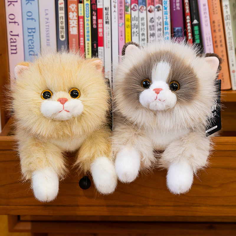 正版可爱布偶猫玩偶撸猫仿真宠物小猫咪公仔送女生喜欢的生日礼物,淘宝优惠券,粉丝福利购,淘宝优惠卷