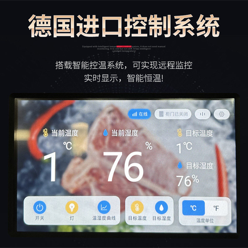 熟成牛肉排酸冷柜恒温干式湿式牛排冷藏冷冻展示柜定制牛扒保鲜柜