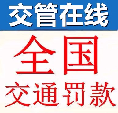 全国车管业务，全国车务疑难杂症。车务疑难杂症。欢迎咨询。 - 图3