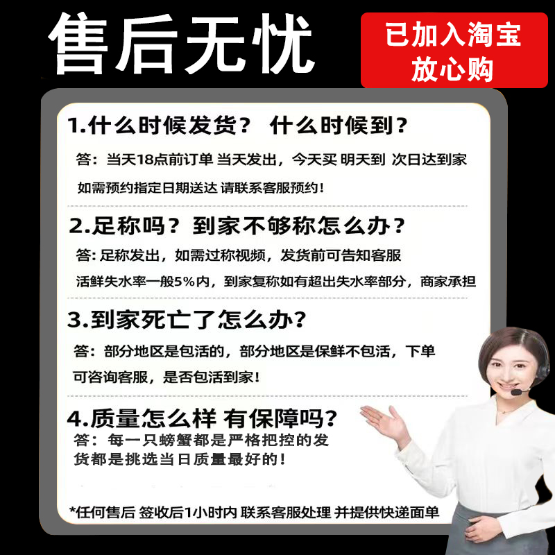 澳洲大龙虾鲜活龙虾大澳龙纽龙红龙海产海鲜水产刺身龙虾日料岩龙 - 图2