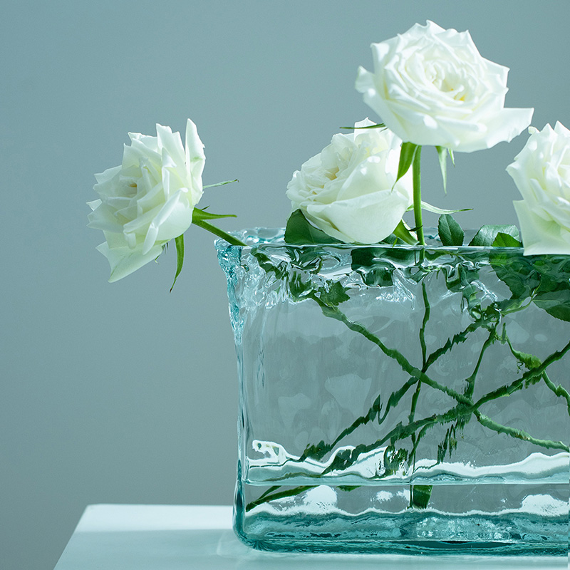 西班牙vsm进口玻璃花瓶摆件客厅插花高级感透明富贵竹插花小鱼缸-图1