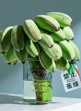 小花瓶环保再生玻璃复古浮雕艺术