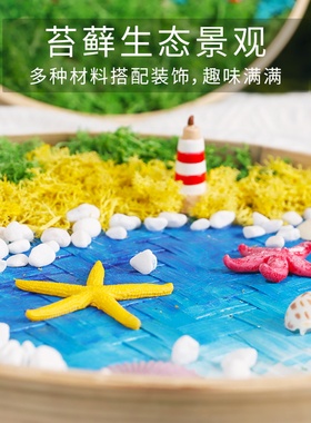 永生苔藓画diy手工相框画竹编筐材料包儿童绿色植物暖场