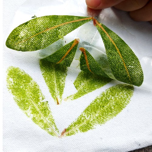 植物拓染敲拓染布工具diy材料包团扇帆布包印染拓印明矾固色剂 - 图2
