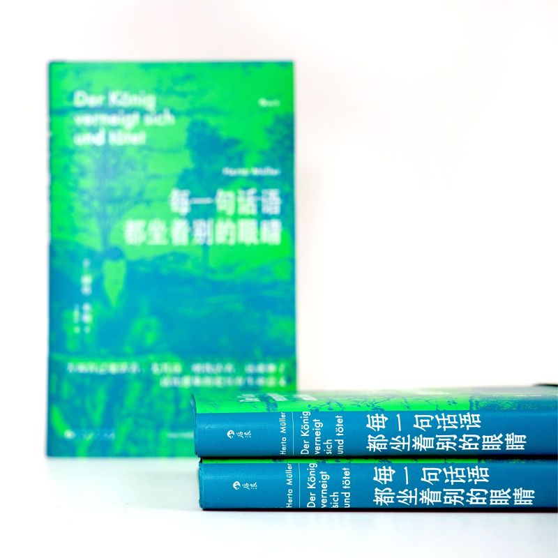 每一句话语都坐着别的眼睛 诺贝尔文学奖得主赫塔米勒自传回忆录罗马尼亚社会散文集 外国文学随笔书籍 后浪正版【新华书店 书籍】