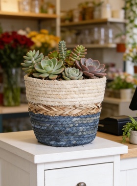 北欧式天然海草编织花盆藤编植物绿植伴娘家居装饰花器花篮收纳筐