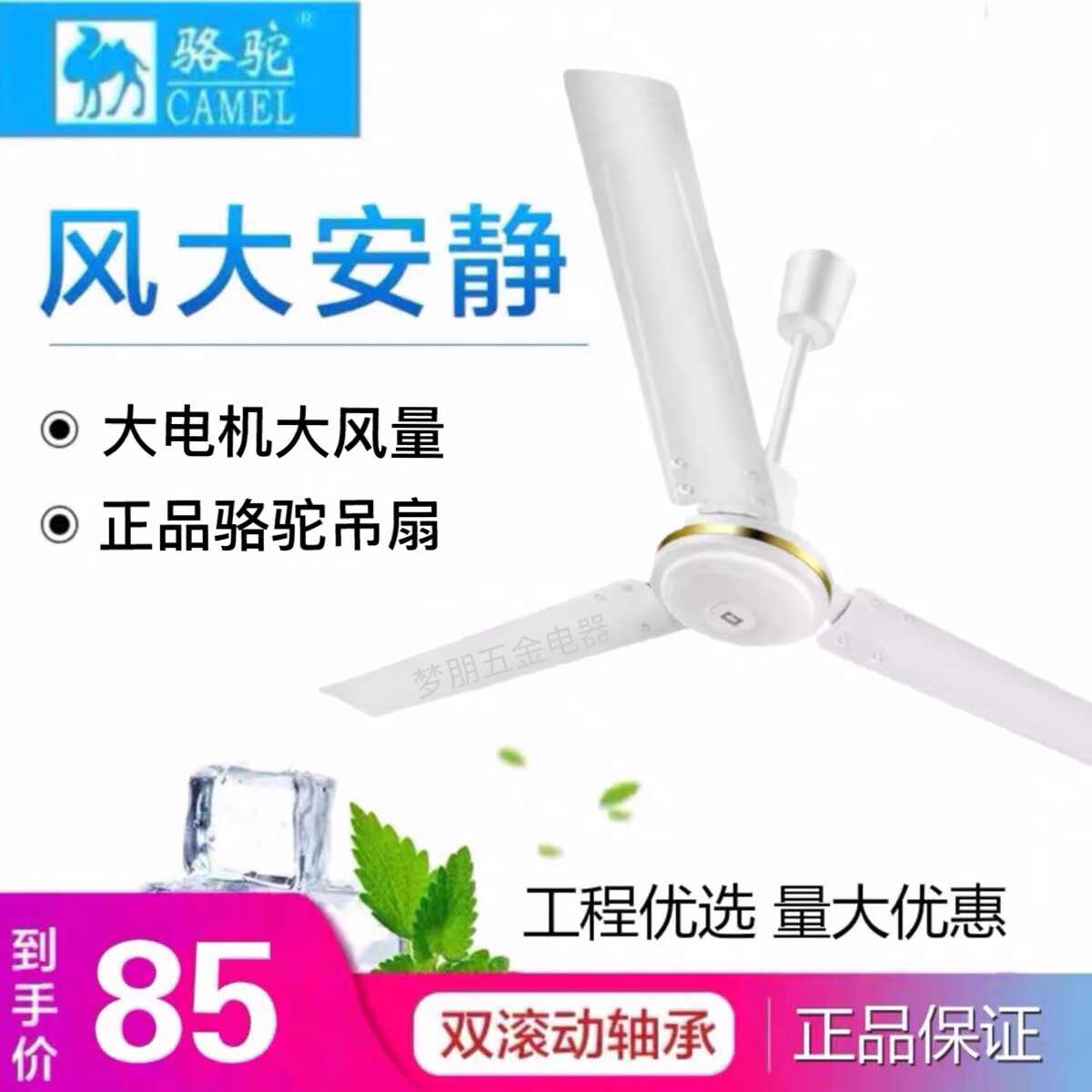 骆驼牌电风扇 新人首单立减十元 21年8月 淘宝海外