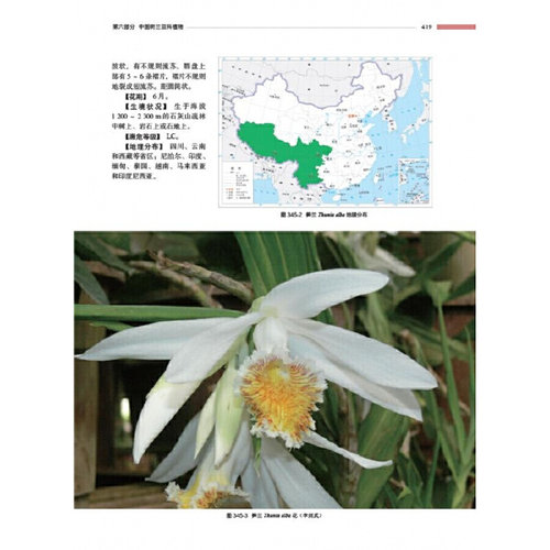 精装中国野生兰科植物原色图鉴上下卷金效华花图鉴基础知识种类分类园艺栽培兰科植物花叶特征识别大全自然科学科普百科-图2