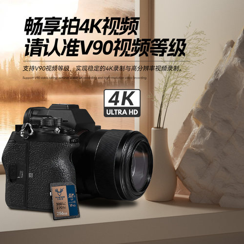 沣标沃斯耐sd卡32G存储卡128G相机通用SD内存卡64g佳能富士尼康相机专用512G闪存卡256GB高速SDXC/SDHC - 图3