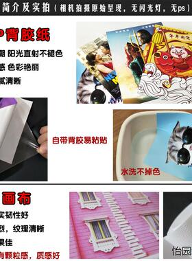嘻哈说唱专辑海报盆栽哥