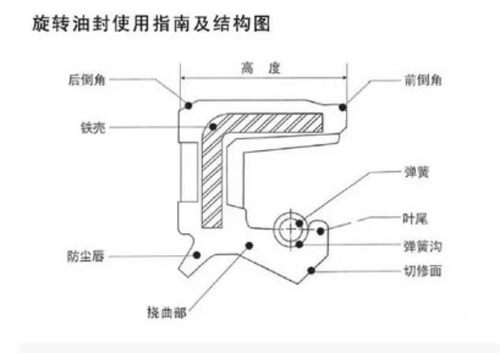 TC内骨架油封XTO带弹簧10/25/35/45/50/55/60/65/70*10水封密封圈 - 图1