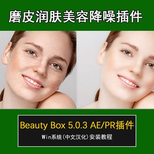 Pr/Ae插件Beauty Box视频磨皮美白润肤祛痘美颜中文版教程win mac - 图0