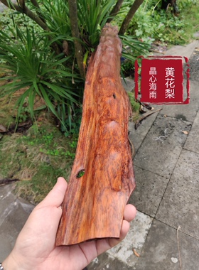 海南黄花梨紫油梨野生老料大板