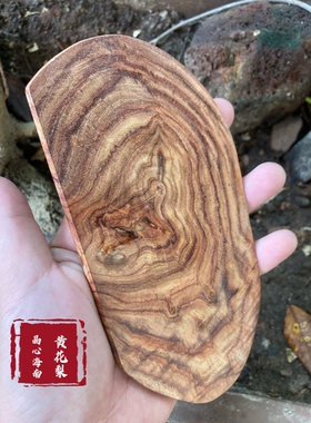 晶心海南黄花梨独板手把摆件刮痧板鬼眼多收藏实用原产地保真海黄