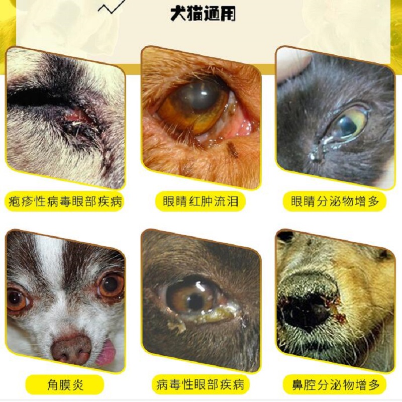 哈蒙德宠物猫狗泛伐更昔滴鼻滴眼液猫鼻支涕眼泪疱疹病毒杯状病毒-图0