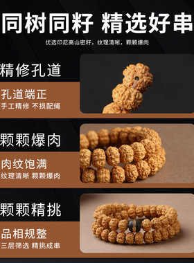 爆肉小金刚手串老树双龙男女佛珠文玩菩提子盘玩核桃原籽手链