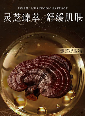 泉意灵芝养肤光感贵妇膏滋润养肤懒人霜提亮肤色抗氧化干皮升级版