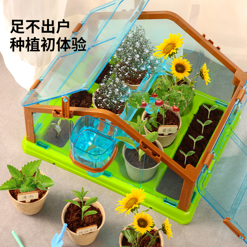 儿童种植阳光房小学生科学实验迷你房子种菜植物玩具套装亲自互动