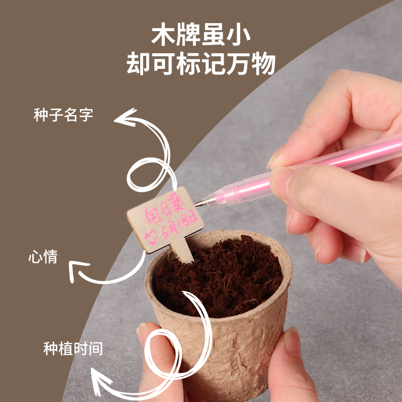 儿童种植阳光房小学生科学实验迷你房子种菜植物玩具套装亲自互动