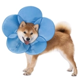 Элизабет Круг Кот Кот Большой Педань Голова сражается с борьбой